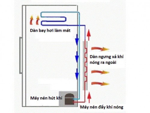 nguyen-nhan-tu-lanh-moi-bi-nong-hai-ben